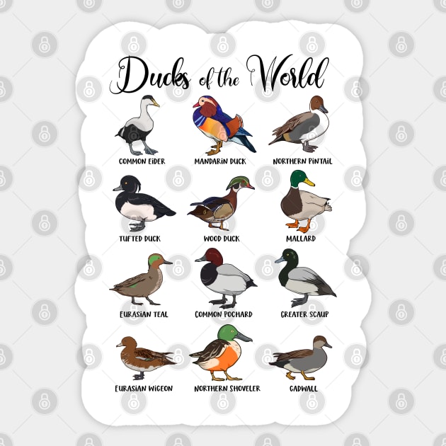 Different ducks - types of ducks Sticker by Modern Medieval Design